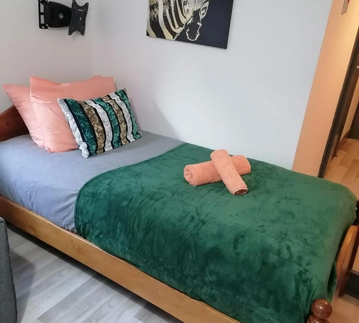 Cosy Garden Flat Near Bay & City Centre - Fast Wifi, 5 Mins To Centre Cardiff Apartment