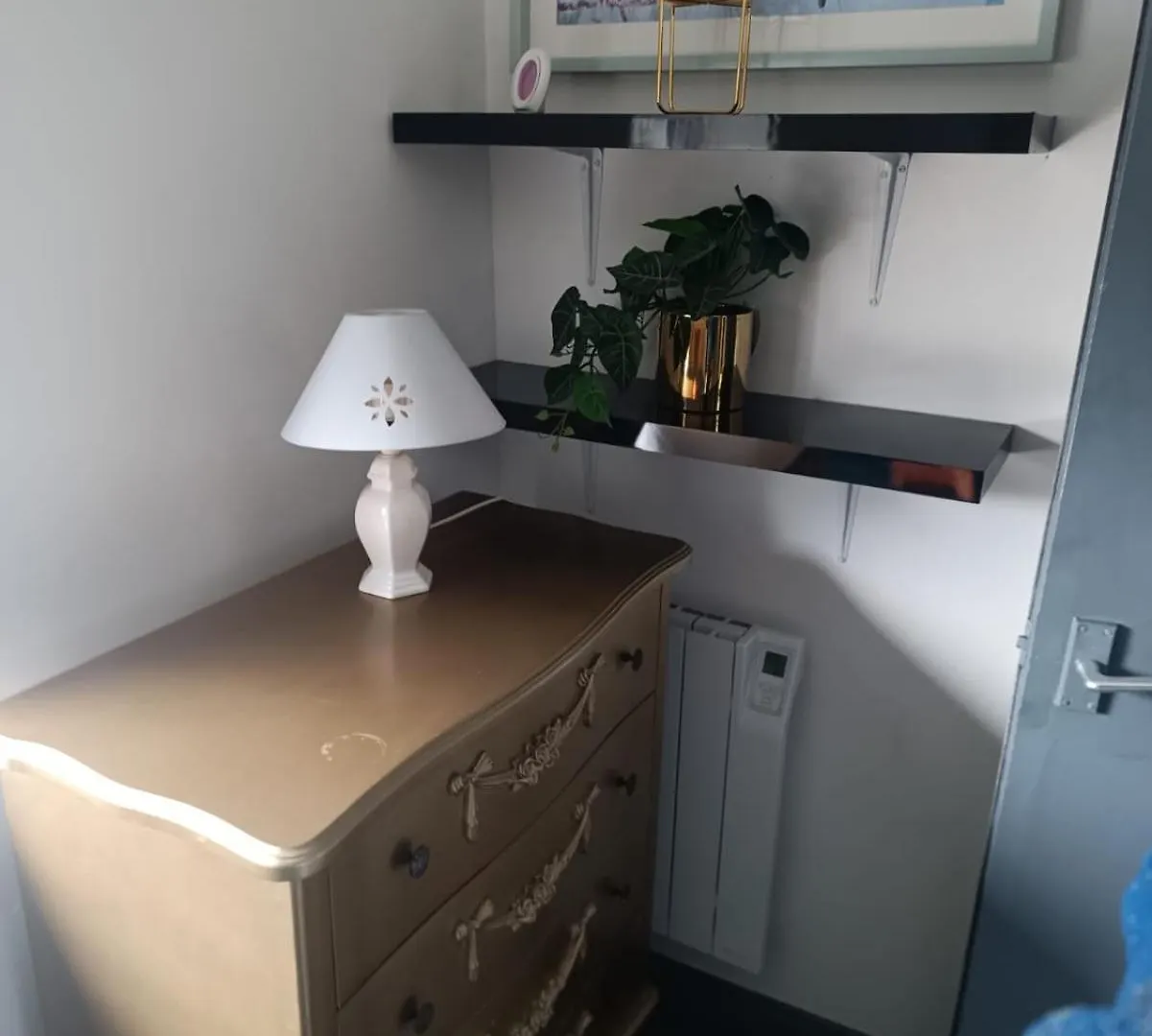 Cosy Garden Flat Near Bay & City Centre - Fast Wifi, 5 Mins To Centre Cardiff